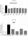 Fig. 24 - Composition for preventing or improving menopausal symptom comprising novel ginsenoside