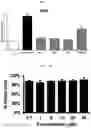 Fig. 25 - Composition for preventing or improving menopausal symptom comprising novel ginsenoside