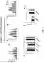 Fig. 08 - METHOD AND COMPOSITION FOR TREATING INFLAMMATORY BOWEL DISEASE