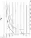 Fig. 02 - Optical fibre having a crosslinked polyester coating