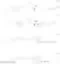 Fig. 81 - Crosslinked alginic acid