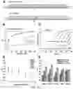 Fig. 04 - MULTIPLEX 5MC MARKER BARCODE COUNTING FOR METHYLATION DETECTION IN CELL FREE DNA