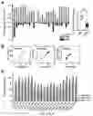 Fig. 05 - MULTIPLEX 5MC MARKER BARCODE COUNTING FOR METHYLATION DETECTION IN CELL FREE DNA