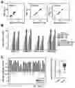 Fig. 06 - MULTIPLEX 5MC MARKER BARCODE COUNTING FOR METHYLATION DETECTION IN CELL FREE DNA