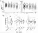 Fig. 09 - MULTIPLEX 5MC MARKER BARCODE COUNTING FOR METHYLATION DETECTION IN CELL FREE DNA