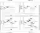 Fig. 11 - Method of analyzing post-translational modifications