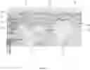 Fig. 02 - Smooth surface wrapping of features in an imaged volume
