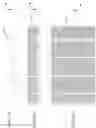 Fig. 22 - MICROELECTRODE ARRAY AND METHODS OF FABRICATING SAME