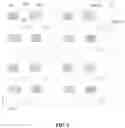 Fig. 02 - Pixel arrangement for display panel and display device