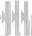 Fig. 04 - Non-human animals expressing humanized CD3 complex