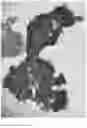 Fig. 02 - METHOD TO INDUCE EXFOLIATION OF CELLS AND/OR TISSUE FRAGMENTS FOR ENHANCED CYTOPATHOLOGIC CELL COLLECTION