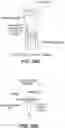Fig. 43 - Systems, devices, and methods for forming anastomoses