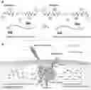 Fig. 01 - BIORESPONSIVE HYDROGEL MATRIXES AND METHODS OF USE
