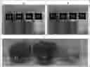 Fig. 01 - PROTECTING A BIOACTIVE AND/OR PRECURSOR THEREOF