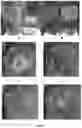 Fig. 02 - PROTECTING A BIOACTIVE AND/OR PRECURSOR THEREOF