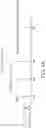Fig. 08 - Universal vaccines against immunogens of pathogenic organisms that provide organism-specific and cross-group protection