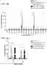 Fig. 09 - Universal vaccines against immunogens of pathogenic organisms that provide organism-specific and cross-group protection