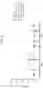 Fig. 16 - Universal vaccines against immunogens of pathogenic organisms that provide organism-specific and cross-group protection
