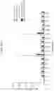 Fig. 22 - Universal vaccines against immunogens of pathogenic organisms that provide organism-specific and cross-group protection