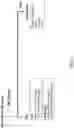 Fig. 09 - Polymeric Methylprednisolone Conjugates and Uses Thereof