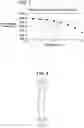 Fig. 05 - RODS WITH ELECTRICAL STIMULATION FOR PROMOTING BONE FUSION
