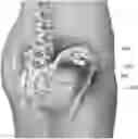 Fig. 01 - Adaptor