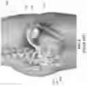 Fig. 02 - Adaptor