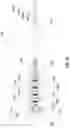 Fig. 07 - Adaptor