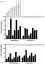 Fig. 22 - Compositions and methods for inducing phagocytosis of MHC class I positive cells and countering anti-CD47/SIRPA resistance