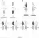 Fig. 03 - COVALENT MULTI-SPECIFIC ANTIBODIES