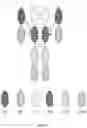 Fig. 04 - COVALENT MULTI-SPECIFIC ANTIBODIES