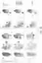 Fig. 85 - Compositions and methods for modulating and detecting tissue specific TH17 cell pathogenicity