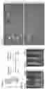 Fig. 07 - TARGETED GENE ACTIVATION USING MODIFIED GUIDE RNA