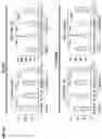 Fig. 24 - TARGETED GENE ACTIVATION USING MODIFIED GUIDE RNA