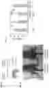 Fig. 25 - TARGETED GENE ACTIVATION USING MODIFIED GUIDE RNA