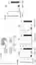 Fig. 46 - TARGETED GENE ACTIVATION USING MODIFIED GUIDE RNA