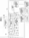 Fig. 02 - Image forming apparatus and control method therefor