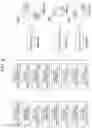 Fig. 03 - Image forming apparatus having managing apparatus which creates print groups according to speed and associates print groups to a continuous paper strip