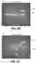 Fig. 06 - Systems and methods for analysis of images of apparel in a clothing subscription platform