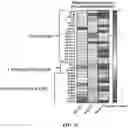 Fig. 216 - MACHINE LEARNING DISEASE PREDICTION AND TREATMENT PRIORITIZATION