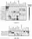 Fig. 45 - MACHINE LEARNING DISEASE PREDICTION AND TREATMENT PRIORITIZATION