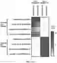 Fig. 72 - MACHINE LEARNING DISEASE PREDICTION AND TREATMENT PRIORITIZATION