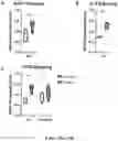 Fig. 77 - MACHINE LEARNING DISEASE PREDICTION AND TREATMENT PRIORITIZATION