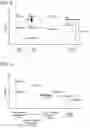 Fig. 03 - Light-emitting device, electronic device, and lighting device
