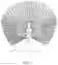 Fig. 02 - Hunting decoy