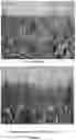 Fig. 02 - Methods and Compositions for Controlling Corn Rootworm