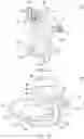 Fig. 02 - Surgical device for spinal fixation