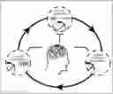Fig. 01 - Systems, methods and media for detecting and facilitating an effortful mental task by providing real-time deep brain stimulation