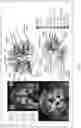 Fig. 14 - Systems, methods and media for detecting and facilitating an effortful mental task by providing real-time deep brain stimulation