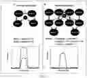 Fig. 16 - Systems, methods and media for detecting and facilitating an effortful mental task by providing real-time deep brain stimulation
